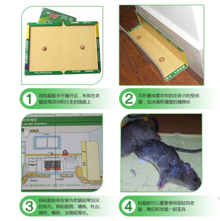 郁康粘鼠板,粘鼠板,老鼠粘板,粘鼠板廠家 郁康粘鼠板,粘鼠板,老鼠粘板,粘鼠板廠家